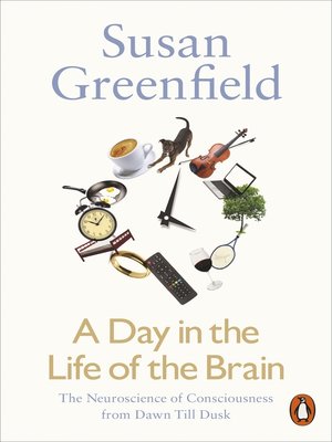 cover image of A Day in the Life of the Brain